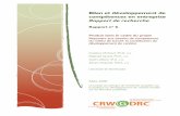 Rapport de recherche - CRWGcrwg-gdrc.ca/.../11/Rapport-6-Bilan-Rapport-de-recherche-partie-1.pdf · Bilan et développement de compétences en entreprise Rapport de recherche Rapport