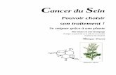 Cancer du Seinbreast-cancer-du-sein-artemisia-annua-sweet-wormwood.com/files/FR... · mais sans les lourds effets secondaires ... Le taux de cancers est en constante augmentation,