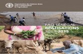FAO énégal | Réalisations 2013-2015 1 · gramme Alimentaire Mondial (PAM) et avec le soutien du Brésil. Inspiré ... (API)» pour la promotion de l’Emploi rural décent, démarré
