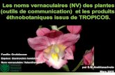 Les noms vernaculaires (NV) des plantes (outils de ... noms vernaculaires (NV) des plantes (outils de communication) et les produits éthnobotaniques issus de TROPICOS. Famille: Orchidaceae