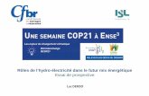 conference2015 COP21 ENSE3-DEROO Essai de …€¦ · Rôles de l’hydro-électricité dans le futur mix énergétique Essai de prospective. ... déplacement de populations sans