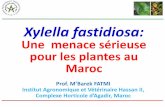 Une menace sérieuse pour les plantes au Maroc fastidiosa: Une menace sérieuse pour les plantes au Maroc Prof. M’Barek FATMI Institut Agronomique et Vétérinaire Hassan II, Complexe