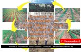 l’intervention de Lucien Séguy - Cirad à l’Académie des ... · Une des voies agrobiologiques majeures de gestion des systèmes de ... en particulier Lucien Séguy au Brésil,