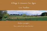 Village à travers les âges Les Tailles - pndo.be · De la période traditionnelle ... Nous remarquerons l’absence d’arbres de très grande taille. ... - la dominance des conifères