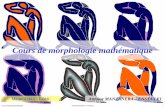 Cours de morphologie math©matique - Sites .Cours de Morphologie Math©matique Antoine MANZANERA