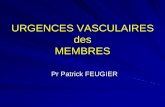 URGENCES VASCULAIRES des MEMBRES - …resuval.free.fr/FMC/FMC-17.11.22/URGENCES-VASCULAIRES-MEMBR… · Ischémie membre supérieur. Examens complémentaires ? ... –Artériographie