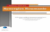 Synergies Roumanie - gerflint.frgerflint.fr/Base/Roumanie9/Numero_complet.pdf · Cecilia Condei fait une analyse du texte académique élaboré par les étudiants en fin de cycle