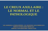 LE CREUX AXILLAIRE - pe.sfrnet.orgpe.sfrnet.org/Data/ModuleConsultationPoster/pdf/2010/1/28d4cbe7-55... · le creux axillaire : le normal et le pathologique s.el haddad, z.jamaleddine,