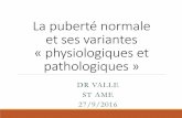 La puberté normale et ses variantes physiologiquessmddouai.free.fr/TLT/2016/Puberte.pdf · La puberté normale : maturation axe gonadotrope HYPOTHALAMUS Noyau arqué GnRH ( LHRH,