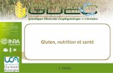 Gluten, nutrition et santé - gnis.fr · .04 Apports du blé Et des micronutriments : sans valeur énergétique mais vitaux (vitamines, minéraux, oligo-éléments souvent produits