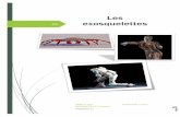 Les exosquelettesexosquelette1.e-monsite.com/medias/files/compte-rendu-tpe-3-.pdf · composée de glucide. C’est l’un des matériaux composites les plus rigide de nature, plus