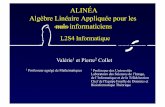 ALINÉA Algèbre Linéaire Appliquée pour les nuls …icube-bfo.unistra.fr/fr/img_auth.php/8/83/Alinea.pdf · Pierre Collet : Algèbre Linéaire Appliquée 3 Notion de Corps (nécessaire