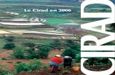 Le Cirad en 2006 · Les variétés locales de riz en Guinée : diversité, dynamique et conservation 19 Agroforesterie et caféiculture : ... Culture in vitro du palmier à huile