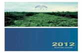 Rapport Annuel Sipef 2012 · Les investissements dans les plantations de palmiers à huile de palme et d’hévéas en Indonésie et en Papouasie-Nouvelle- Guinée, y compris la plantation