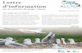 sur les activités du projet Alcyon - birdlife.org Newsletter... · économique des oiseaux marins dans le PNDS dans le cadre des concertations avec les opérateurs touristiques en