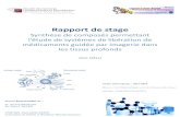 Rapport de stage Anis - idv.parisdescartes.fridv.parisdescartes.fr/pdf/RapportStageAnis.pdf · Remerciements Ce stage a été réalisé avec le concours d’une bourse de l’Imageries