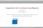 Ingénierie de Systèmes Intelligents - Accueilmma.perso.eisti.fr/HTML-IdSI/option09.pdf · (Donnees, Connaissances, Raisonnement)´ Techniques de Fouilles de données, Extraction