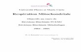 Respiration Mitochondriale - chups. · PDF fileRévisions Biochimie PCEM2 Révisions Biochimie Métabolique 2004 - 2005 Pr. A. Raisonnier (alain.raisonnier@upmc.fr) Mise à jour :