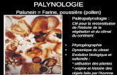 Palunein = Farine, poussière (pollen) · • Phytogéographie ... pas changé au cours du temps •La végétation est en équilibre avec le climat. ... 2ème moitié du 1er siècle