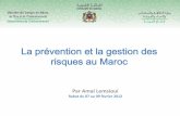 la problématique de prévention et de gestion des risques au Maroc · global traitant de la gestion du risque au Maroc. Etat actuel de la gestion des risques au Maroc Stratégie