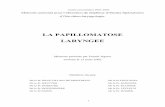 LA PAPILLOMATOSE LARYNGEE - nantesorl.free.frnantesorl.free.fr/Theses/memoireFJ.pdf · Si elle est la lésion bénigne la plus fréquente du larynx de l’enfant, ... 2.3 épidémiologie
