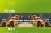 La veille au service de la stratégie de l'INRA - gfii.fr · PDF fileLa veille stratégique au cœur des enjeux de l'Inra - 2. 8 e Veille réglementaire Veille sectorielle Veille territoriale