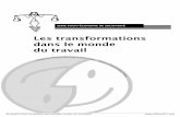 Les transformations dans le monde du travailbase.socioeco.org/docs/doc-133_fr.pdf · et du problème de la gestion urbaine dans la partie finale de l’exposé. La ... L'actuelle