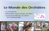 Le Monde des Orchidées - Orchidée Armorique ...€¦ · Le petit Larousse des orchidées Françoise & Philippe Lecoufle, Colette & Dominique Barthelemy, Gérard Schmidt, éditions