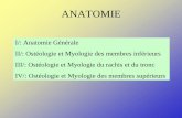 ANATOMIE - poitiersmanagement.free.frpoitiersmanagement.free.fr/Cours/L2/Anatomie/CMANATOMIE.pdf · ANATOMIE I/: Anatomie Générale II/: Ostéologie et Myologie des membres inférieurs