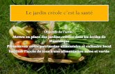 Le jardin créole c’est la santé - Internet Martiniquedaaf.martinique.agriculture.gouv.fr/IMG/pdf/Le_jardin_creole_c_est... · France et du Lamentin avec les enfants pendant le