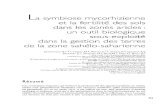 La symbiose mycorhizienne et la fertilité des sols dans ...horizon.documentation.ird.fr/exl-doc/pleins_textes/divers14-01/... · En retour, les hyphes fongiques améliorent la nutrition