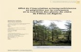 Effet de l’inoculation ectomycorhizienne en pépinière …bft.cirad.fr/cd/BFT_330_57-67.pdf · en pépinière sur la croissance et la nutrition des plants du cèdre de l’Atlas