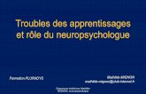 Le rôle du neuropsychologue dans les troubles des ...´le-du... · cadre d’un traitement (épilepsie, TDAH, tumeur, etc.) - d’identifier la part respective des facteurs cognitifs