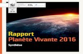 Rapport Planète Vivante 2016 - assets.wwffr.panda.orgassets.wwffr.panda.org/downloads/27102016_synthese_2016_rapport... · vertébrés et en en calculant la variation moyenne de