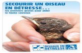 Vous pouvez aider - LPO (Ligue pour la Protection des Oiseaux) · Les principales causes de détresse Les oiseaux et la faune sauvage en général, déjà soumis à des conditions
