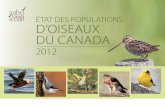 ÉTAT DES POPULATIONS D’OISEAUX DU CANADAoiseaux_du... · 4 État des populations d’oiseaux du Canada depuis 1970, lorsque la surveillance effi cace de la plupart des espèces
