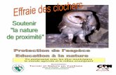 Terroir et Nature en Yvelines - ATENA 78 · des terriers de campagnols. - Cette provende fait le bonheur de l’Effraie, mais aussi son plus grand malheur, ... 5- Fabrication du nichoir