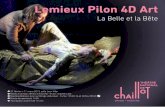 Lemieux Pilon 4D Art - theatre-chaillot.fr · Musique originale Michel Smith ... François Ménard, ... Stikeman Elliot / Trésorier François Taschereau, président Productions