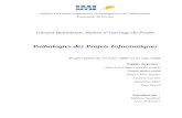 Rapportjlf.axnet.free.fr/IMI/PPI V2.0.doc · Web view2.0 Titre du document Pathologies des Projets Informatiques Résumé Partant des 3 mini-projets (Management structuré de Projet,
