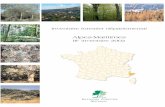 ALPES-MARITIMES - 2002 - inventaire-forestier.ign.frinventaire-forestier.ign.fr/spip/IMG/pdf/IFN_06_3_ALPES_MARITIMES.pdf · rÉpublique franÇaise ministÈre de l’agriculture,