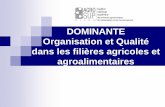 OPTION Organisation et Qualité dans les filières … · Evaluation de la stratégie marketing d'un insecticide "Delegate" sur le ... état des lieux et perspectives de développement