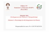 Filière SV Semestre 5, Parcours BAPV- 2012/2013 …s9ae74061d47f6183.jimcontent.com/download/version... · Développement des Plantes & Phytopathologie Elément 1: Physiologie du
