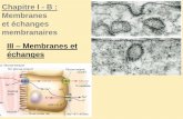 Chapitre I - B : et échanges membranaires III …bcpst-svt-parc.fr/wordpress/wp-content/uploads/2013/10/Chap-II-Mb... · Chapitre I - B : Membranes et échanges ... 3 : vésicule