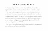 Images Nmériques ICN [Mode de compatibilité] - site isnsloutfi.fr/site_icn/images_numeriques.pdf · acquise, créée, traitée, stockée sous forme binaire ( suite de 0 et 1) :