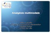 Analgésie multimodale - JLARjlar.com/Congres_anterieurs/JLAR2013/analgesie_multimodale_lebuffe.… · Action antalgique Site d’action spinale et supraspinale
