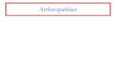 Arthropathies - oncorea.com 3D ULB/17-09-04 arthropathies.pdf · associées à des douleurs du squelette axial (colonne cervicale, dorsale, lombaire et ... Rhumatisme psoriasique