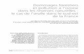 Dommages forestiers et pollution à l’ozone de la France€¦ · par les stomates à l’intérieur de la feuille par diffusion moléculaire. Ce mécanisme est for-tement dépendant