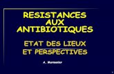 RESISTANCES AUX ANTIBIOTIQUES - amis-des …amis-des-sciences.org/conferences/diapo/12-03-09.pdf · Hémi-synthèse Synthèse * Pour 15 000 molécules étudiées, 150 antibiotiques