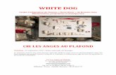 Dossier White Dog - Mars 17 - lebateaufeu.com · Tous les paradoxes de cette époque trouble se cristallisent dans la présence d’un chien, ... Contre l’avis de ... se termine