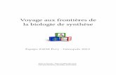 Voyage aux frontières de la biologie de synthèse - … · Etudiant L2 en Biologie de l’université de Versailles, Pierre-Yves est également un ... cours d’étude. Les pistes